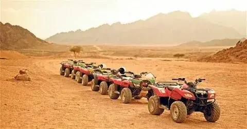 Quad Biking and Dinner Safari in Luxor