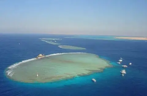 Day Tour to Tiran Island & Local Gardens by Boat