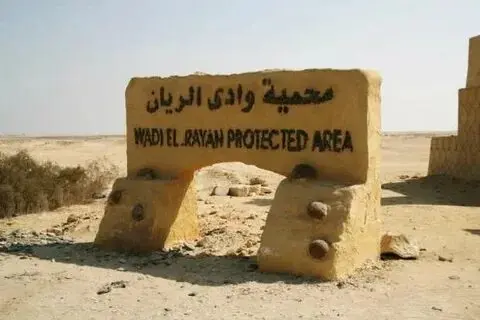 Private Tour to El Fayoum Oasis and Wadi El Rayan Waterfall from Cairo